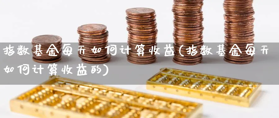 指数基金每天如何计算收益(指数基金每天如何计算收益的)_https://www.yunsqy.com_期货分类_第1张