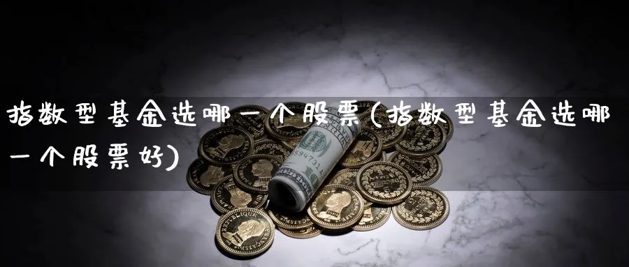 指数型基金选哪一个股票(指数型基金选哪一个股票好)_https://www.yunsqy.com_理财百科_第1张