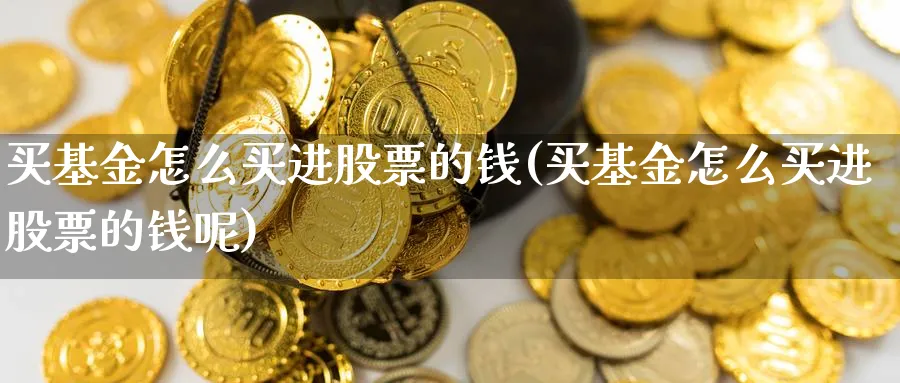 买基金怎么买进股票的钱(买基金怎么买进股票的钱呢)_https://www.yunsqy.com_期货入门_第1张