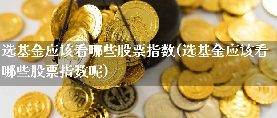 选基金应该看哪些股票指数(选基金应该看哪些股票指数呢)_https://www.yunsqy.com_期货整理_第1张