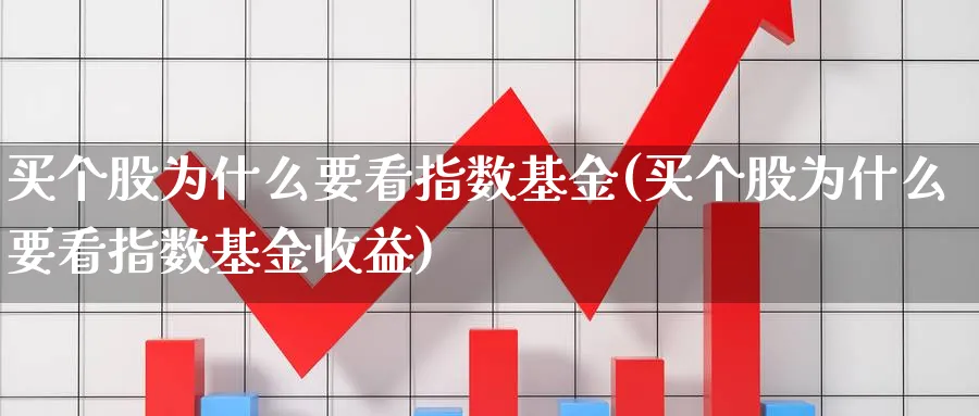 买个股为什么要看指数基金(买个股为什么要看指数基金收益)_https://www.yunsqy.com_期货整理_第1张