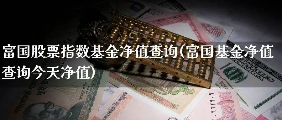 富国股票指数基金净值查询(富国基金净值查询今天净值)_https://www.yunsqy.com_期货整理_第1张