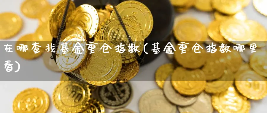 在哪查找基金重仓指数(基金重仓指数哪里看)_https://www.yunsqy.com_期货技术_第1张