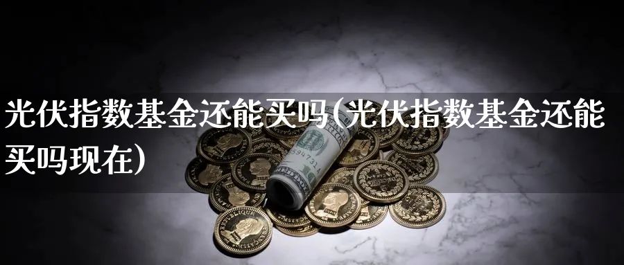 光伏指数基金还能买吗(光伏指数基金还能买吗现在)_https://www.yunsqy.com_期货分类_第1张