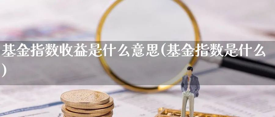 基金指数收益是什么意思(基金指数是什么)_https://www.yunsqy.com_期货入门_第1张