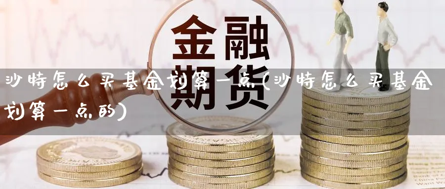 沙特怎么买基金划算一点(沙特怎么买基金划算一点的)_https://www.yunsqy.com_期货分类_第1张