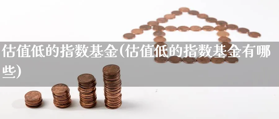 估值低的指数基金(估值低的指数基金有哪些)_https://www.yunsqy.com_期货入门_第1张