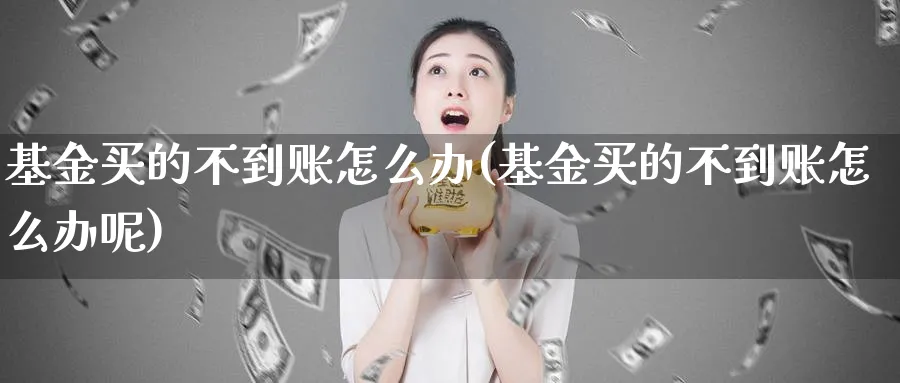 基金买的不到账怎么办(基金买的不到账怎么办呢)_https://www.yunsqy.com_原油期货_第1张