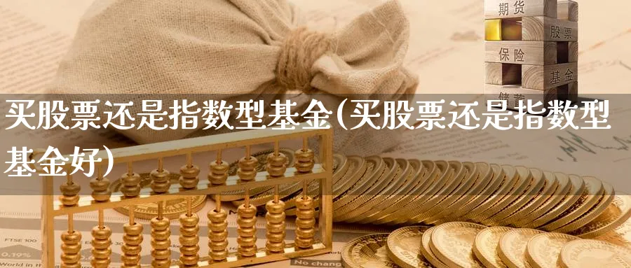 买股票还是指数型基金(买股票还是指数型基金好)_https://www.yunsqy.com_理财百科_第1张