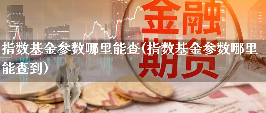 指数基金参数哪里能查(指数基金参数哪里能查到)_https://www.yunsqy.com_期货直播_第1张