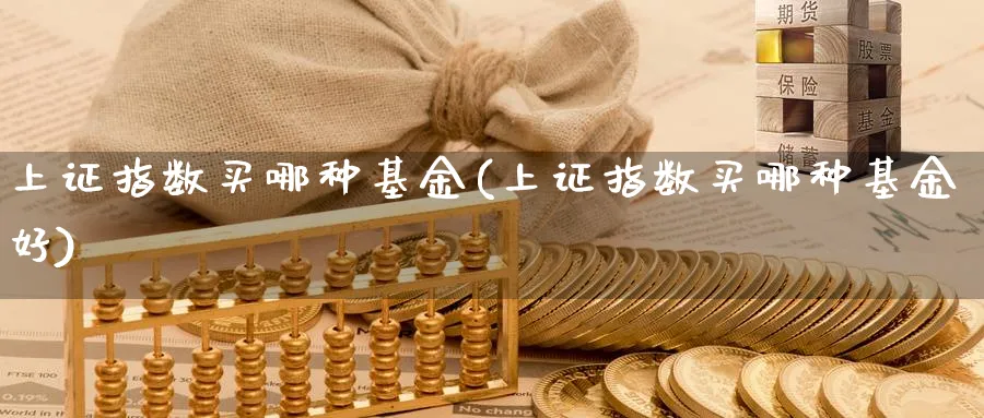 上证指数买哪种基金(上证指数买哪种基金好)_https://www.yunsqy.com_期货直播_第1张