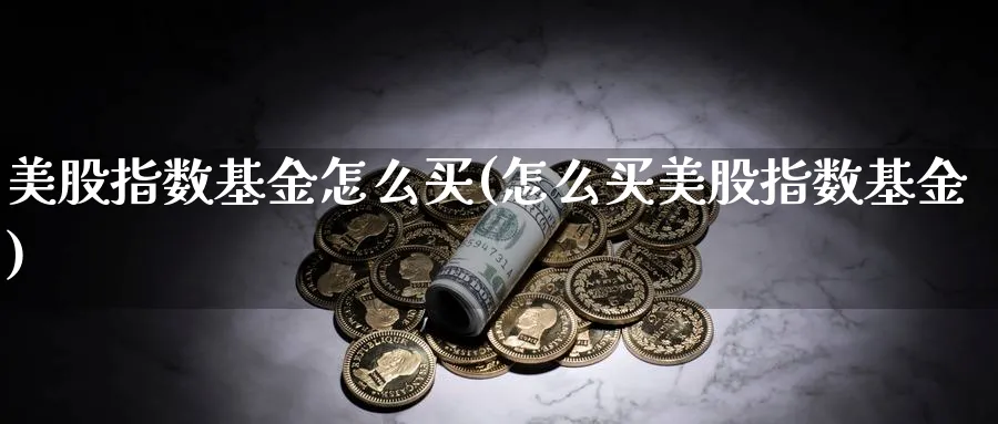 美股指数基金怎么买(怎么买美股指数基金)_https://www.yunsqy.com_黄金期货_第1张