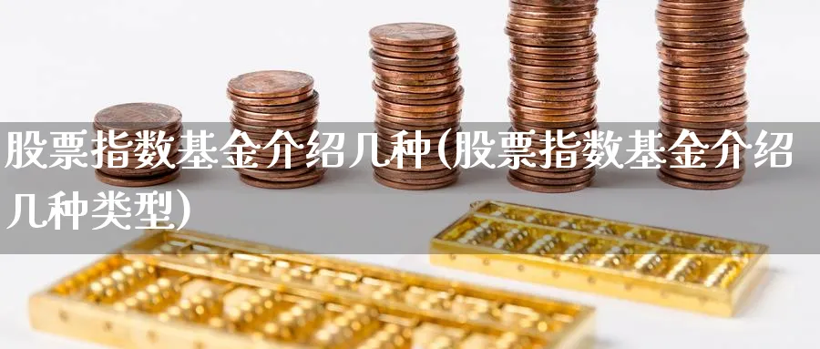 股票指数基金介绍几种(股票指数基金介绍几种类型)_https://www.yunsqy.com_纳指期货_第1张