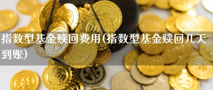 指数型基金赎回费用(指数型基金赎回几天到账)_https://www.yunsqy.com_期货理财_第1张