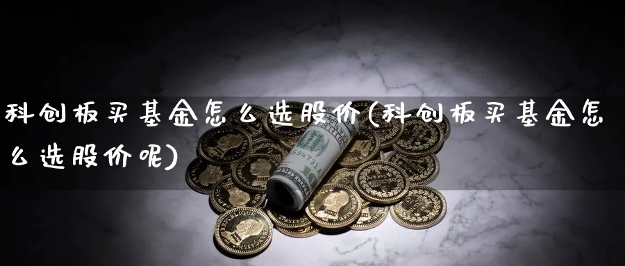 科创板买基金怎么选股价(科创板买基金怎么选股价呢)_https://www.yunsqy.com_期货入门_第1张