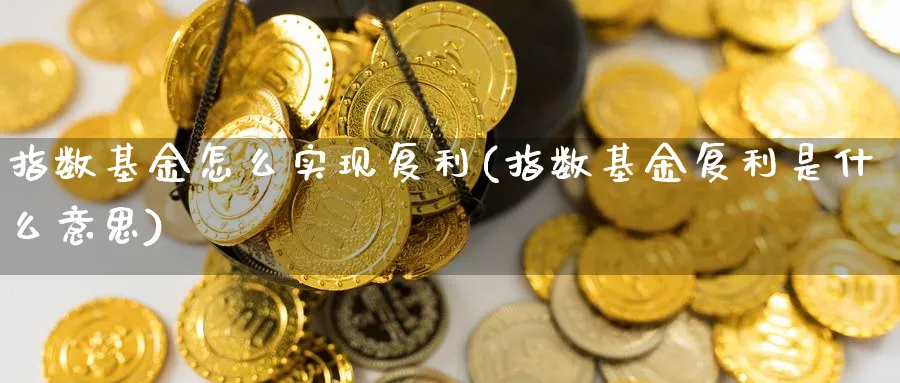 指数基金怎么实现复利(指数基金复利是什么意思)_https://www.yunsqy.com_黄金期货_第1张