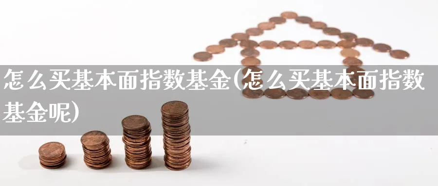 怎么买基本面指数基金(怎么买基本面指数基金呢)_https://www.yunsqy.com_期货整理_第1张