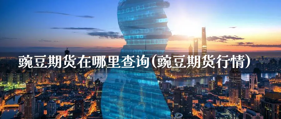 豌豆期货在哪里查询(豌豆期货行情)_https://www.yunsqy.com_理财百科_第1张