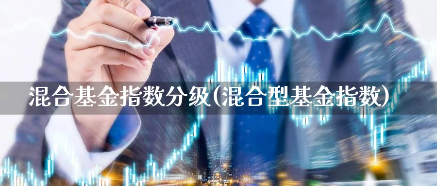 混合基金指数分级(混合型基金指数)_https://www.yunsqy.com_纳指期货_第1张