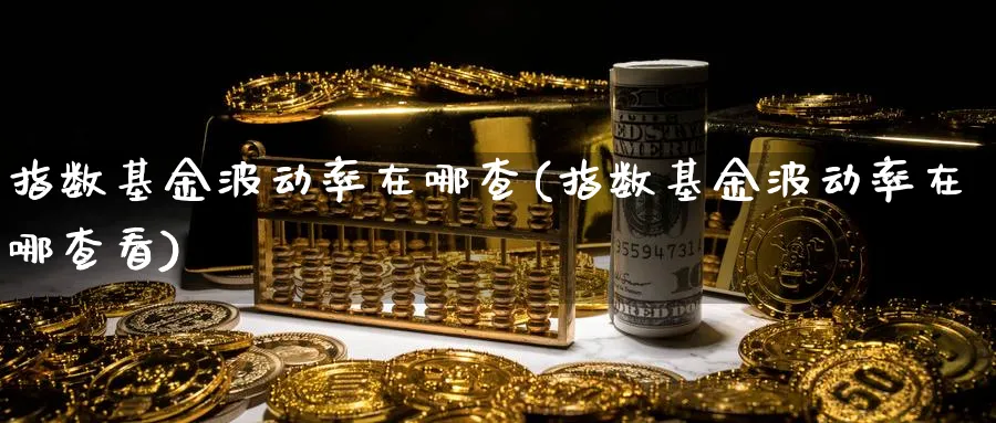 指数基金波动率在哪查(指数基金波动率在哪查看)_https://www.yunsqy.com_期货入门_第1张