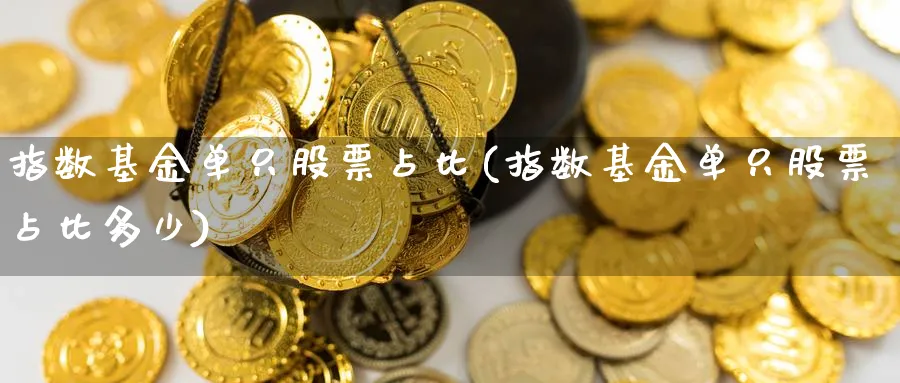 指数基金单只股票占比(指数基金单只股票占比多少)_https://www.yunsqy.com_期货入门_第1张