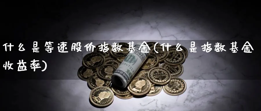 什么是等速股价指数基金(什么是指数基金收益率)_https://www.yunsqy.com_期货直播_第1张