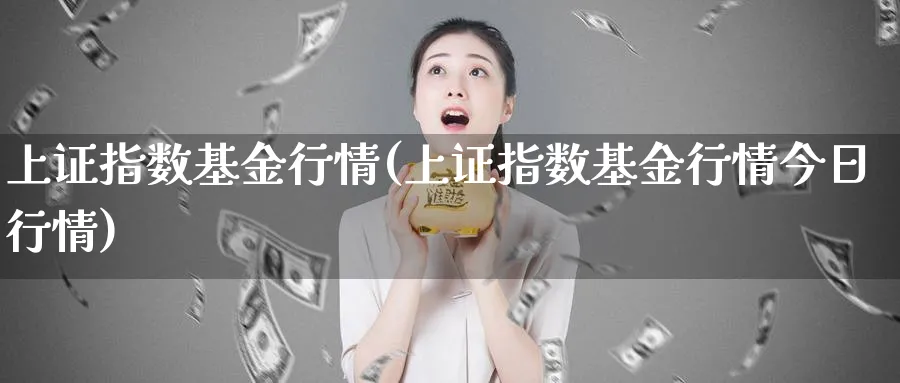 上证指数基金行情(上证指数基金行情今日行情)_https://www.yunsqy.com_期货整理_第1张