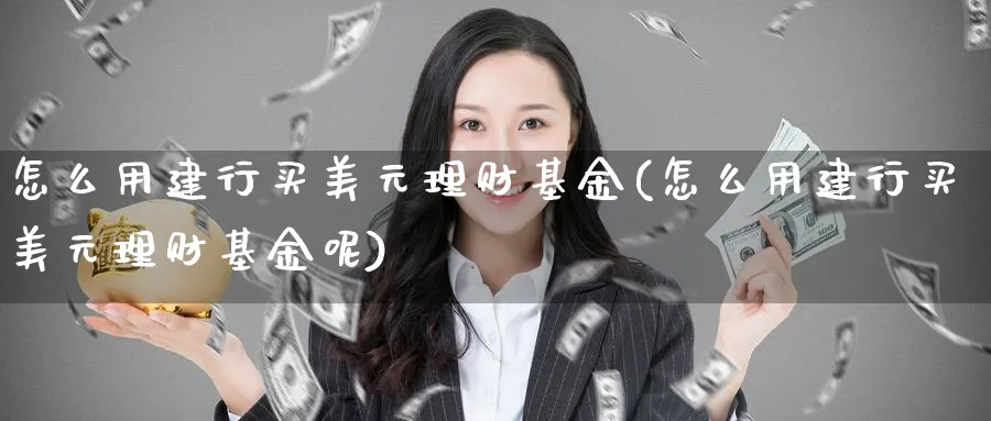 怎么用建行买美元理财基金(怎么用建行买美元理财基金呢)_https://www.yunsqy.com_期货整理_第1张