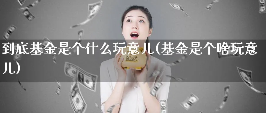 到底基金是个什么玩意儿(基金是个啥玩意儿)_https://www.yunsqy.com_原油期货_第1张