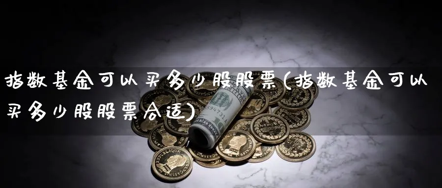 指数基金可以买多少股股票(指数基金可以买多少股股票合适)_https://www.yunsqy.com_期货分类_第1张