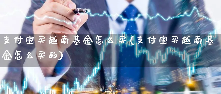 支付宝买越南基金怎么买(支付宝买越南基金怎么买的)_https://www.yunsqy.com_原油期货_第1张