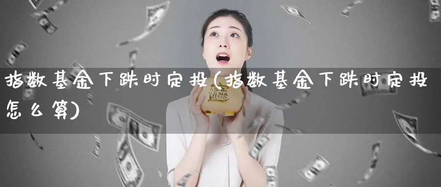 指数基金下跌时定投(指数基金下跌时定投怎么算)_https://www.yunsqy.com_期货整理_第1张