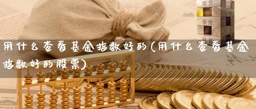 用什么查看基金指数好的(用什么查看基金指数好的股票)_https://www.yunsqy.com_期货技术_第1张