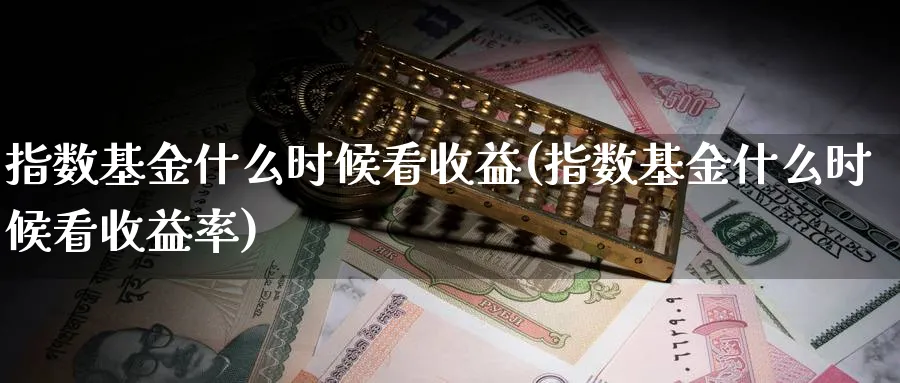 指数基金什么时候看收益(指数基金什么时候看收益率)_https://www.yunsqy.com_期货理财_第1张