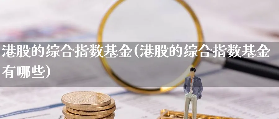 港股的综合指数基金(港股的综合指数基金有哪些)_https://www.yunsqy.com_原油期货_第1张