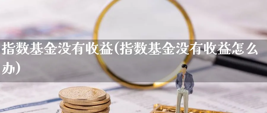 指数基金没有收益(指数基金没有收益怎么办)_https://www.yunsqy.com_期货理财_第1张