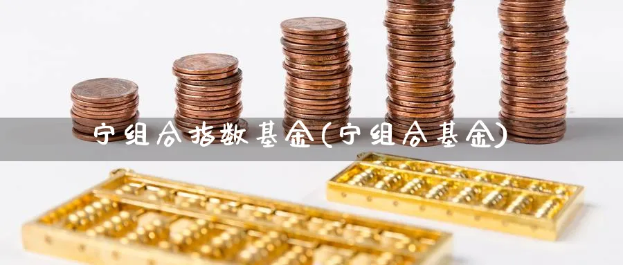 宁组合指数基金(宁组合基金)_https://www.yunsqy.com_理财百科_第1张