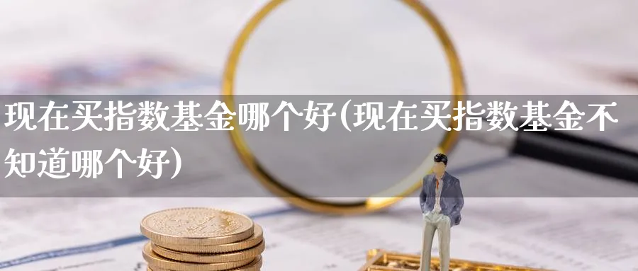 现在买指数基金哪个好(现在买指数基金不知道哪个好)_https://www.yunsqy.com_期货入门_第1张