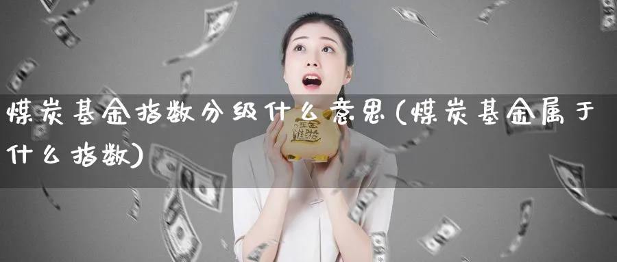 煤炭基金指数分级什么意思(煤炭基金属于什么指数)_https://www.yunsqy.com_期货分类_第1张