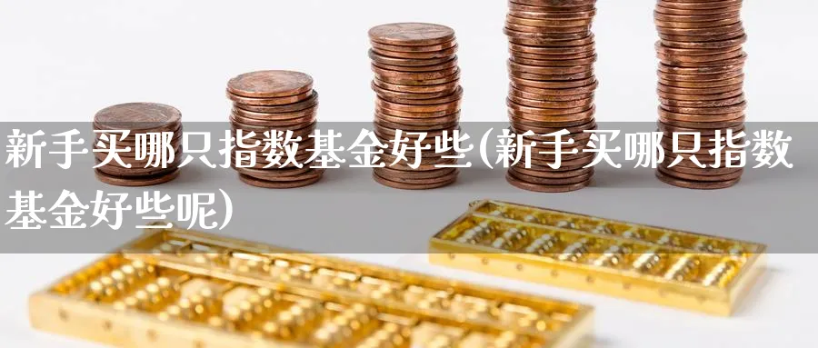 新手买哪只指数基金好些(新手买哪只指数基金好些呢)_https://www.yunsqy.com_原油期货_第1张