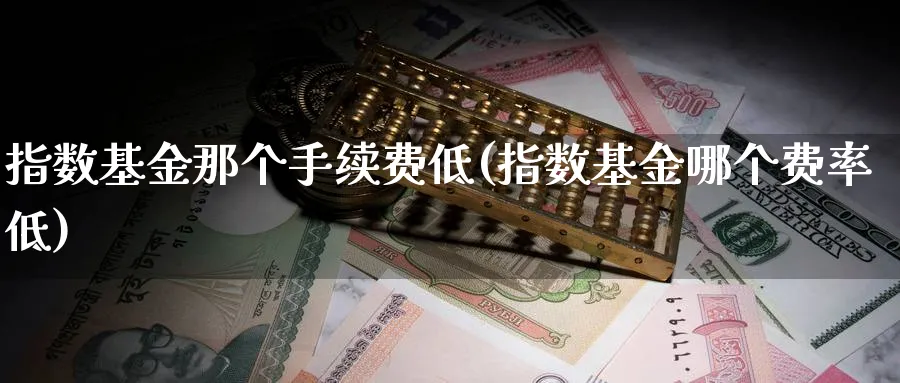 指数基金那个手续费低(指数基金哪个费率低)_https://www.yunsqy.com_理财百科_第1张