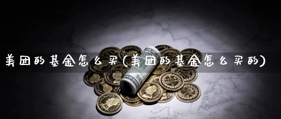 美团的基金怎么买(美团的基金怎么买的)_https://www.yunsqy.com_期货技术_第1张