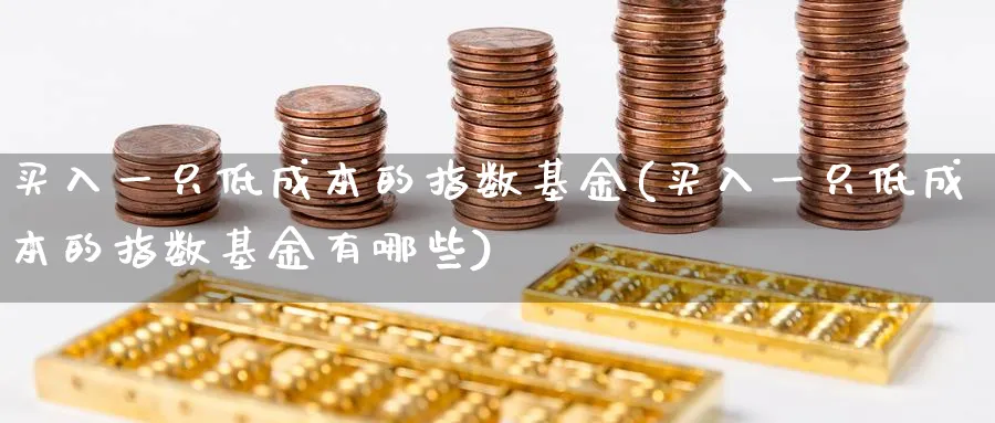 买入一只低成本的指数基金(买入一只低成本的指数基金有哪些)_https://www.yunsqy.com_期货技术_第1张