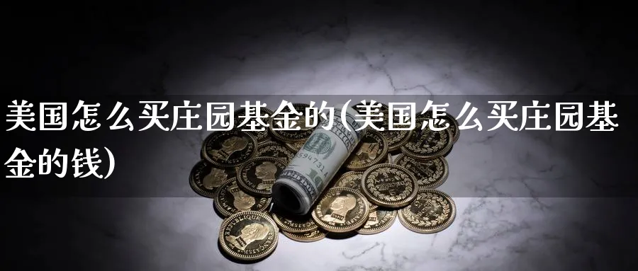 美国怎么买庄园基金的(美国怎么买庄园基金的钱)_https://www.yunsqy.com_期货技术_第1张