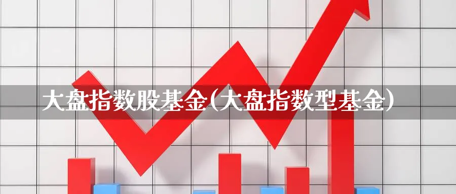 大盘指数股基金(大盘指数型基金)_https://www.yunsqy.com_期货入门_第1张