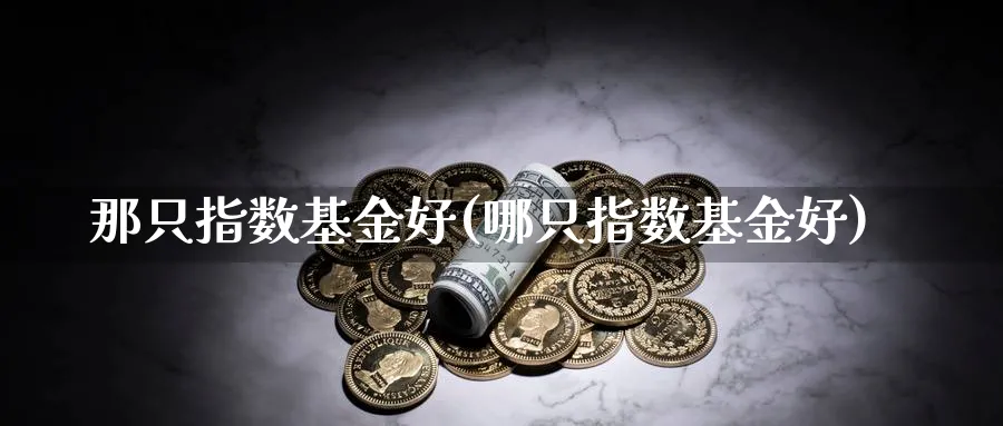 那只指数基金好(哪只指数基金好)_https://www.yunsqy.com_纳指期货_第1张