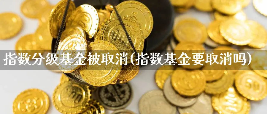 指数分级基金被取消(指数基金要取消吗)_https://www.yunsqy.com_期货入门_第1张