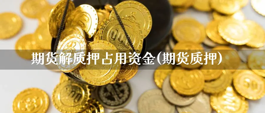 期货解质押占用资金(期货质押)_https://www.yunsqy.com_期货整理_第1张