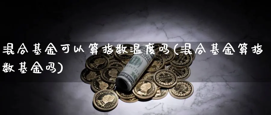 混合基金可以算指数温度吗(混合基金算指数基金吗)_https://www.yunsqy.com_期货理财_第1张