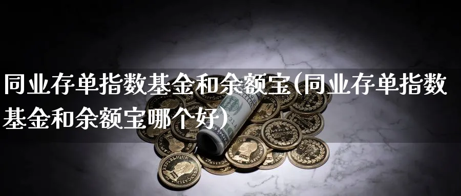 同业存单指数基金和余额宝(同业存单指数基金和余额宝哪个好)_https://www.yunsqy.com_期货分类_第1张